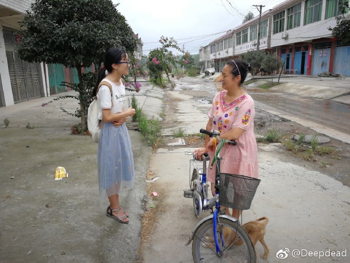 投注网站