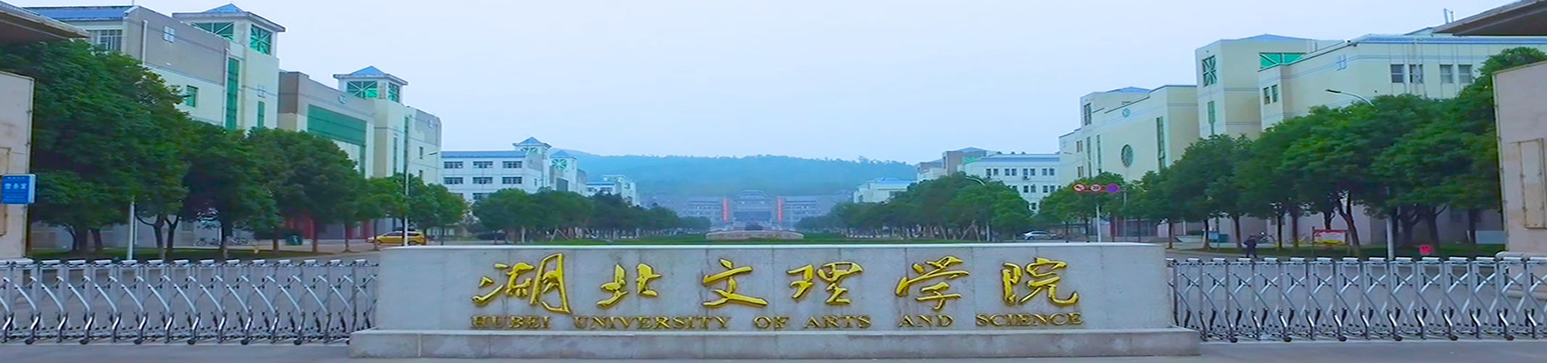 投注网站